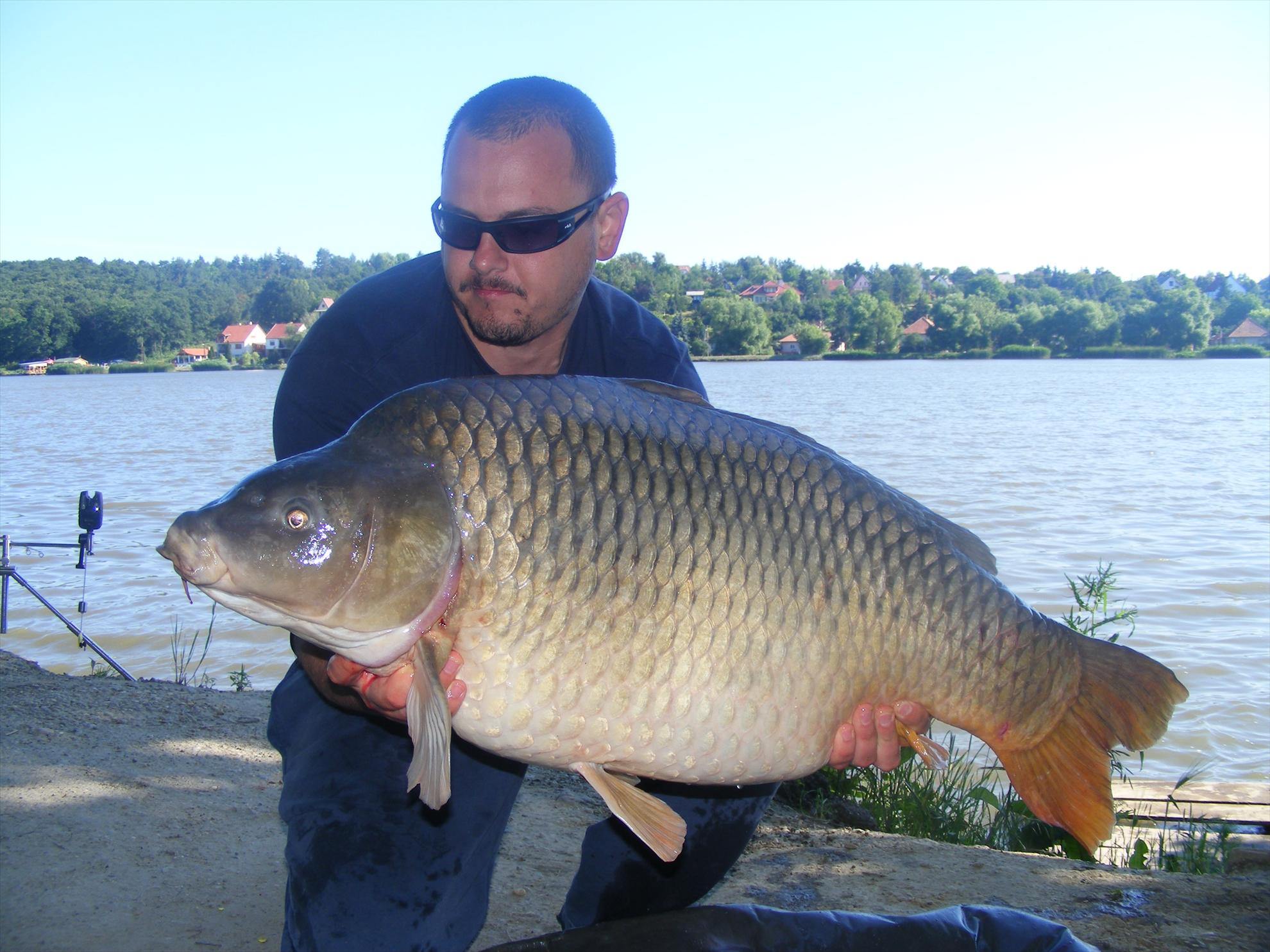 Harsanyi 2013 - dscf6324.JPG